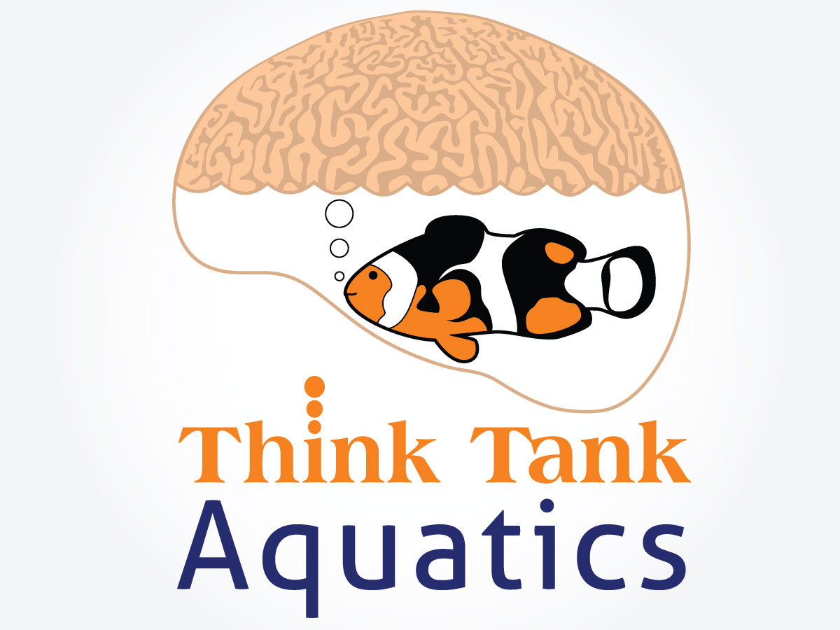 Logo Design by Kings Bishop Design for this project | Design #1596783