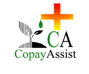 Logo Design by geeko