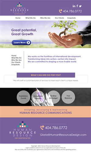 Business Consulting Website Design | Web Design by creationz2011