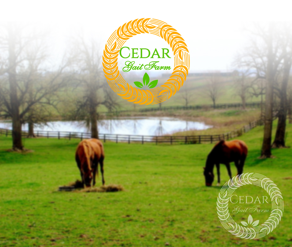 Logo Design by gooddesign for this project | Design #5799630