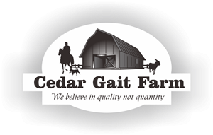Logo Design by Gunawan Yulianto