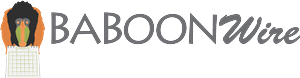 Logo Design by PerfectlyVector