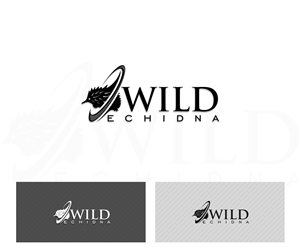 Logo Design by damian for this project | Design: #5767860