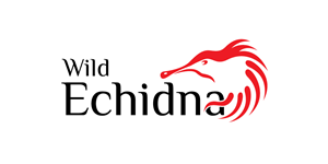Logo Design by debdesign