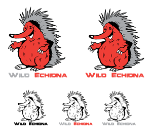 Logo Design by ebin88