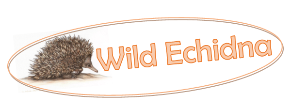 Logo Design by Steve Prints for this project | Design #5768459