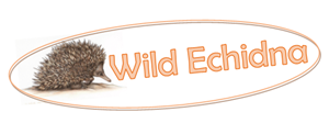 Logo Design by Steve Prints