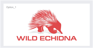 Logo Design by ESolz Technologies