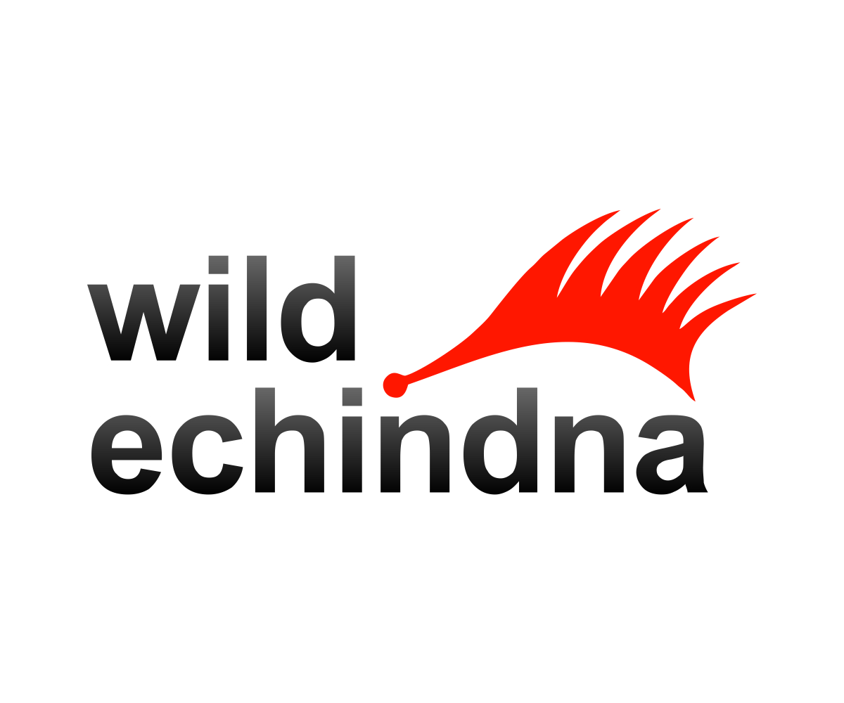 Logo-Design von Mohits27 für dieses Projekt | Design #5765082