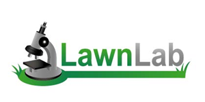 Logo Design by crossforth