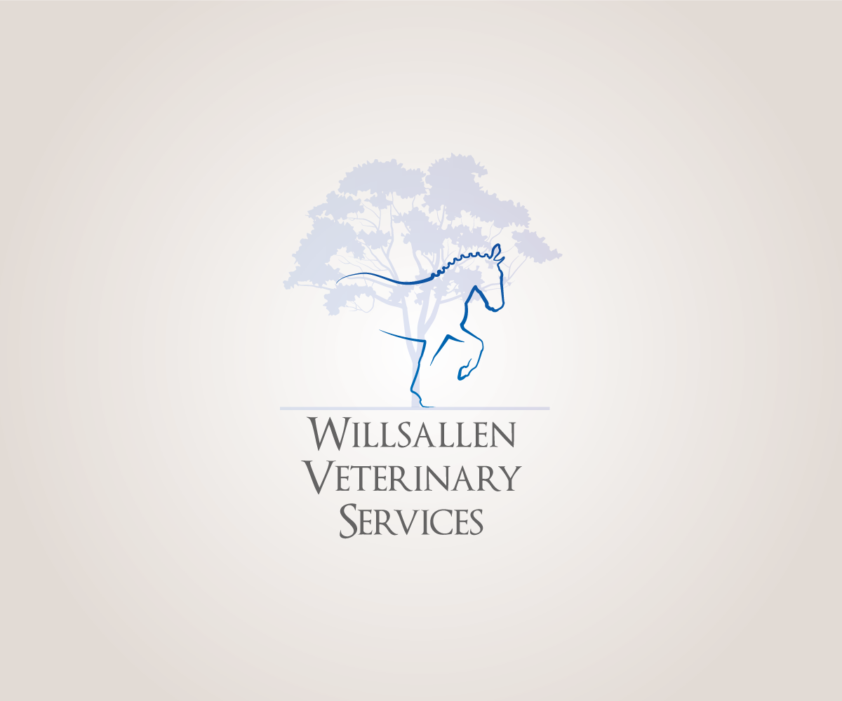 Diseño de Logo por abineri para este proyecto | Diseño #5836568