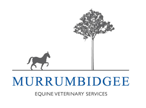 Logo Design by LizaM
