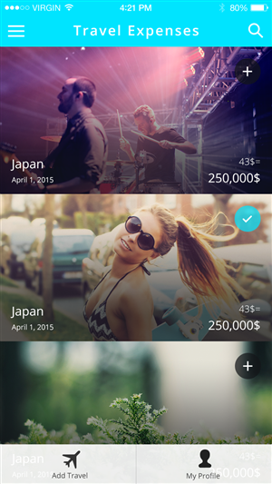 My Travel Expenses - iPhone application