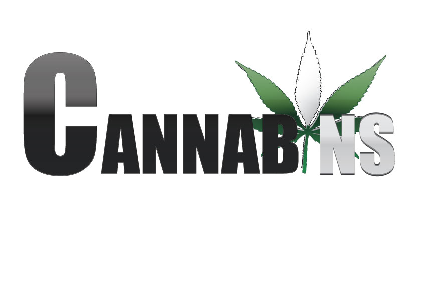Diseño de Logo por Hs50 para este proyecto | Diseño #5768716