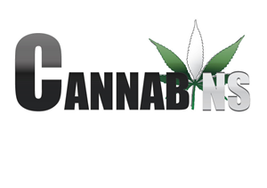 Logo Design by Hs50
