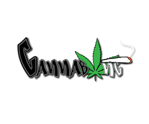 Logo Design by LeeMcC