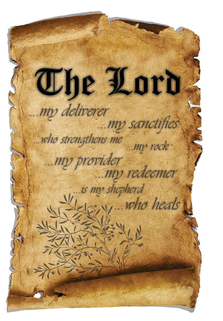 Design Graphique par Natari Designs pour ce projet | Design #5901158