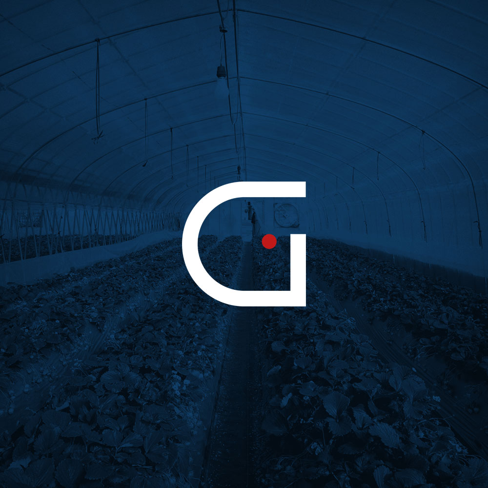 Logo Design by Alejandro Michel for Gintec | Design #5773480