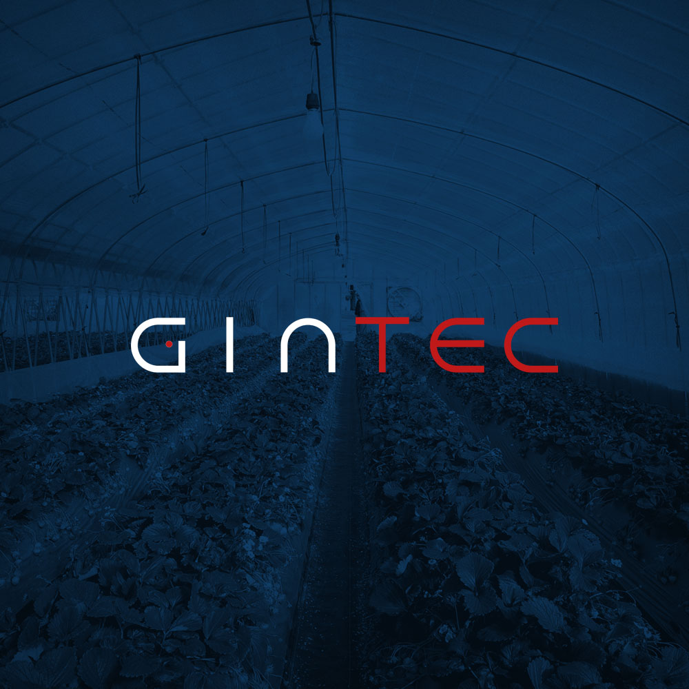 Logo Design by Alejandro Michel for Gintec | Design #5773486