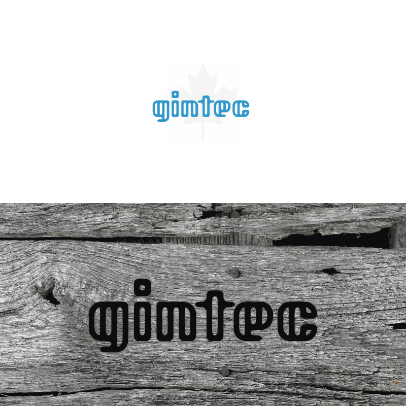 Logo Design by REDcrackers.com for Gintec | Design #5919446
