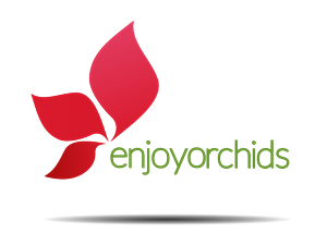 Logo Design by shimo