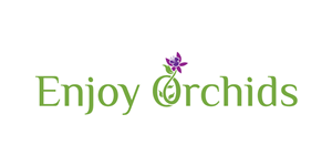 Logo Design by debdesign