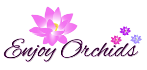 Logo Design by kkredkar2