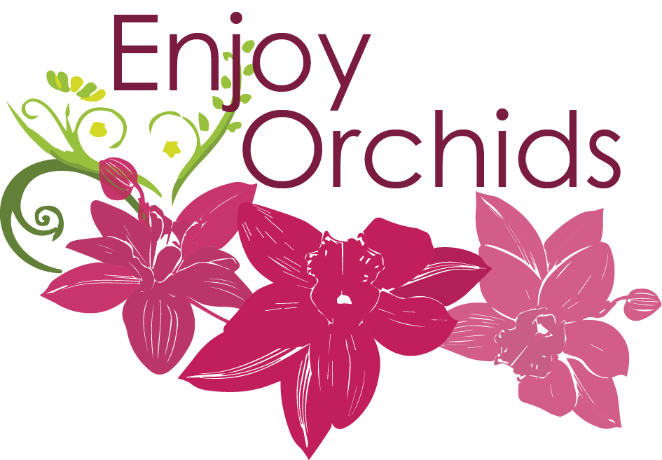 Logo Design by AndreeaV for this project | Design #5789092