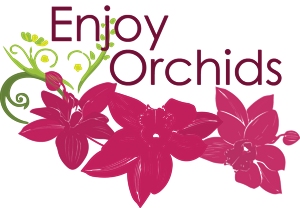 Logo Design by AndreeaV for this project | Design #5789092