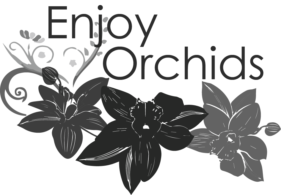 Logo Design by AndreeaV for this project | Design #5789101