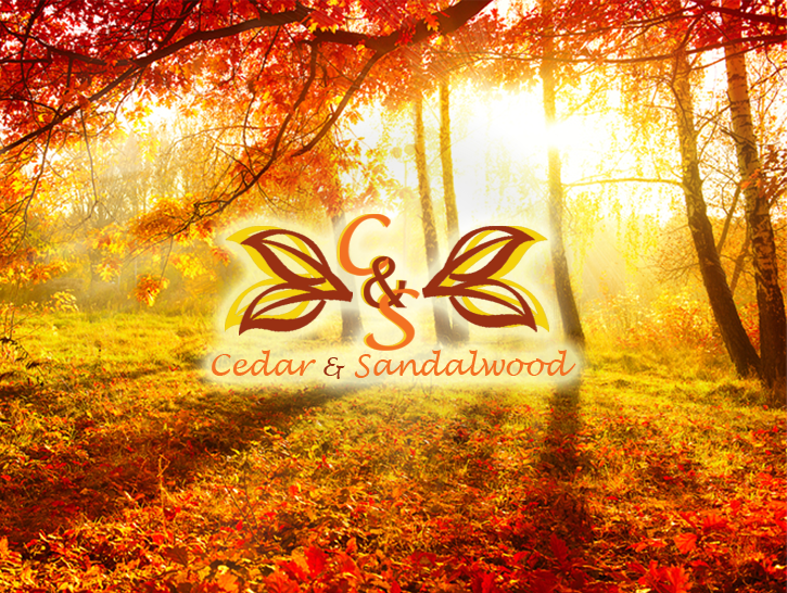 Design de Logo par Drakeson-Design pour ce projet | Design #5775567