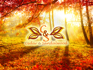 Logo Design by Drakeson-Design for this project | Design #5775567