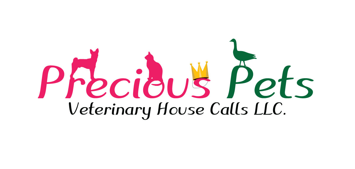 Design de Logo par chilliq pour ce projet | Design #1581889