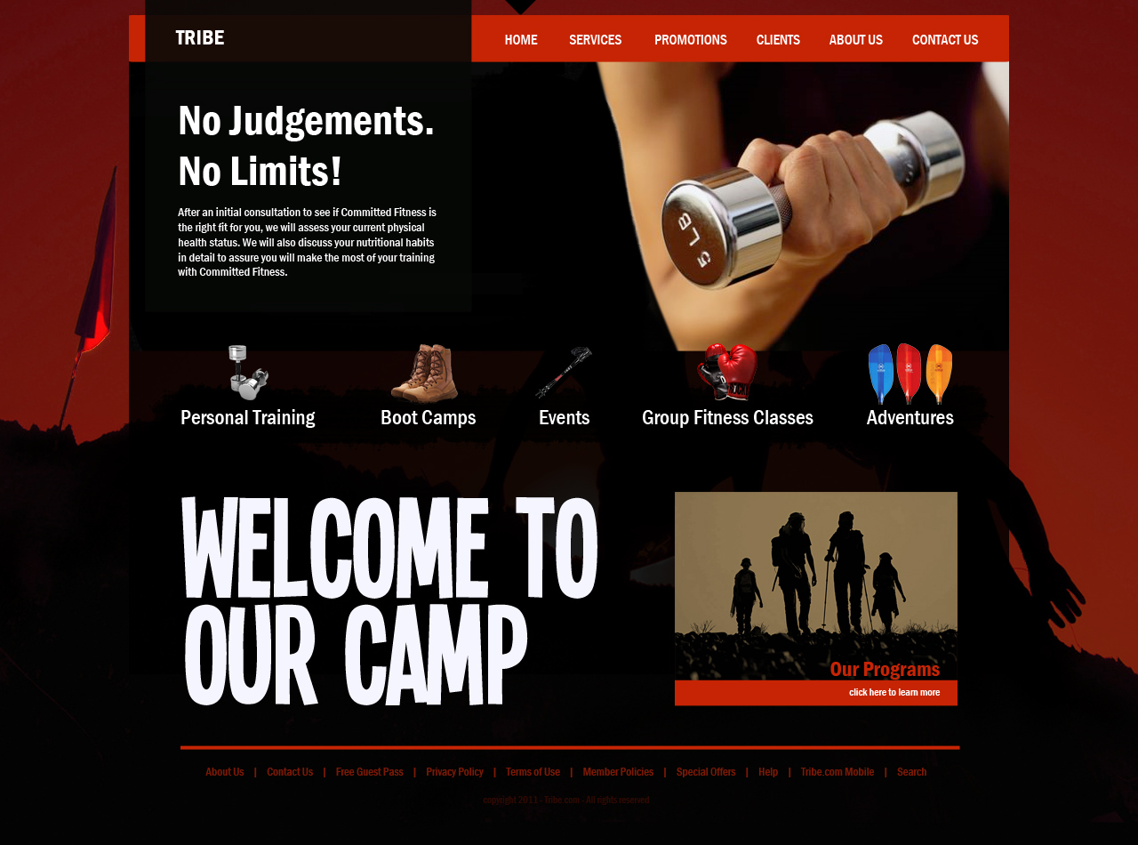 Web Design by Scorpio Graphix for this project | Design #304692