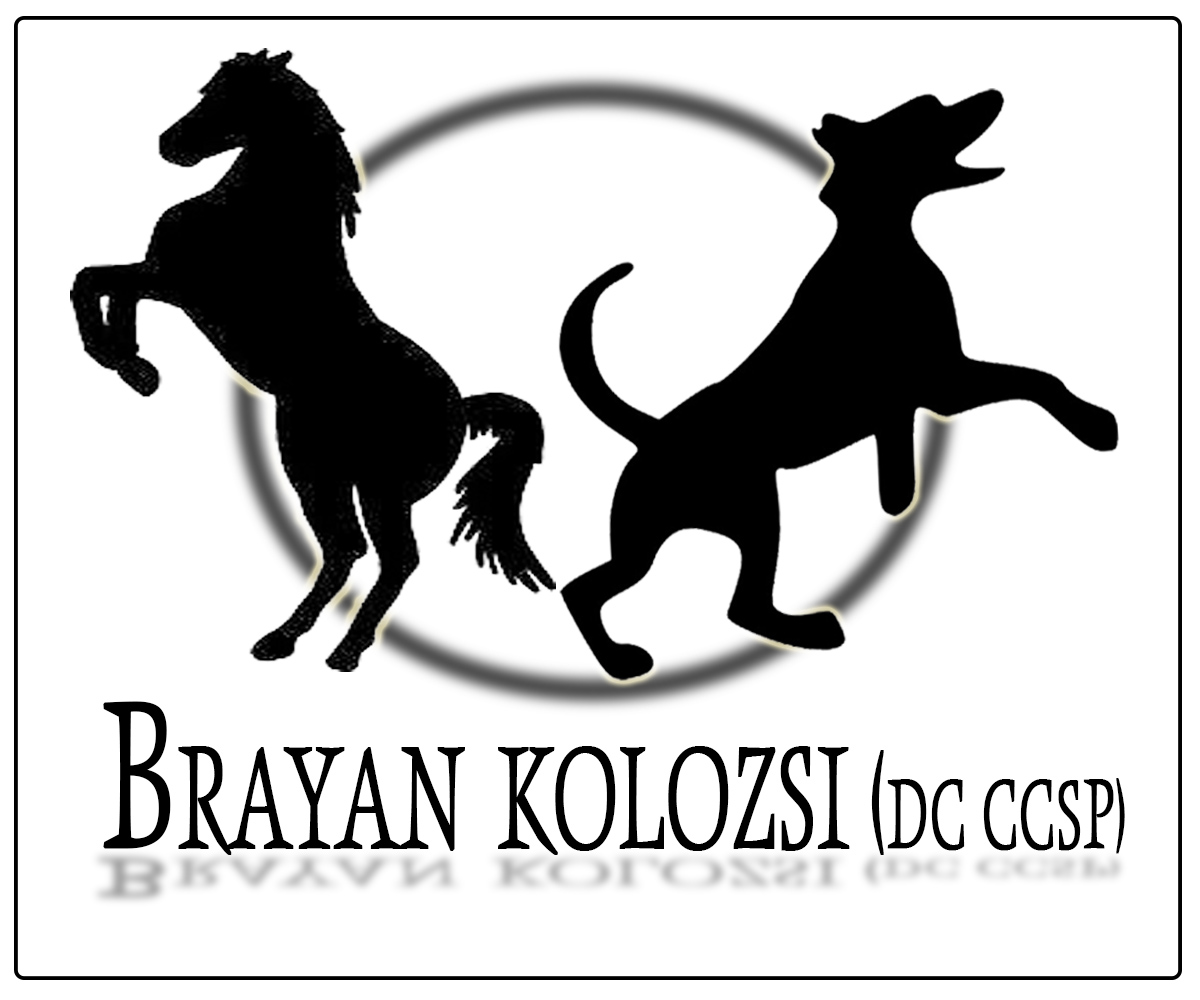 Logo Design by maduka design for this project | Design #5796300