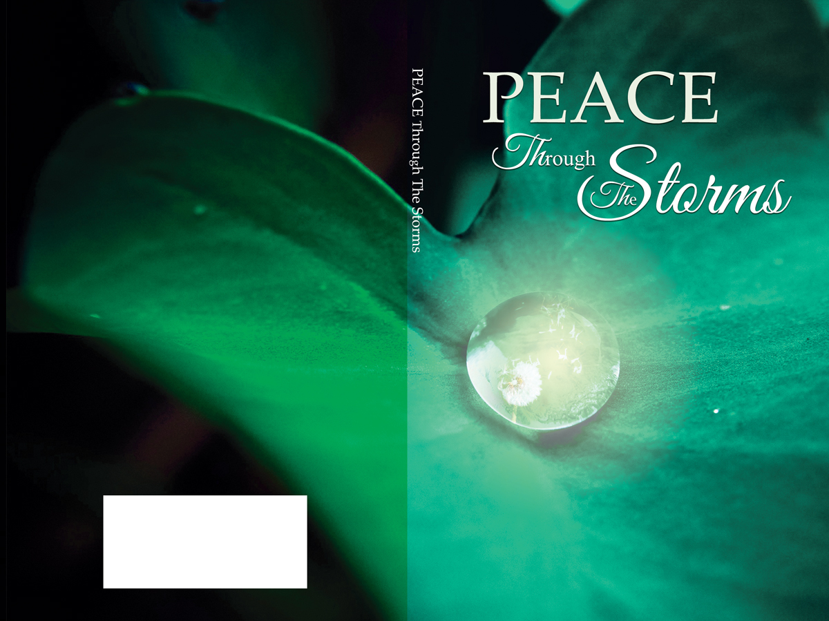 Design de Couverture de Livre par Lobna Saleh pour ce projet | Design #5844364