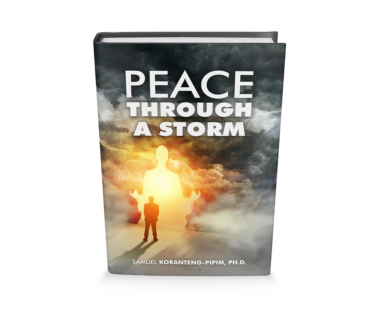 Book Cover Design by Robert R. for this project | Design #5783892