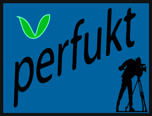 Logo Design by Hezwak
