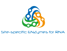 Logo Design by salman12315 for this project | Design: #5784010