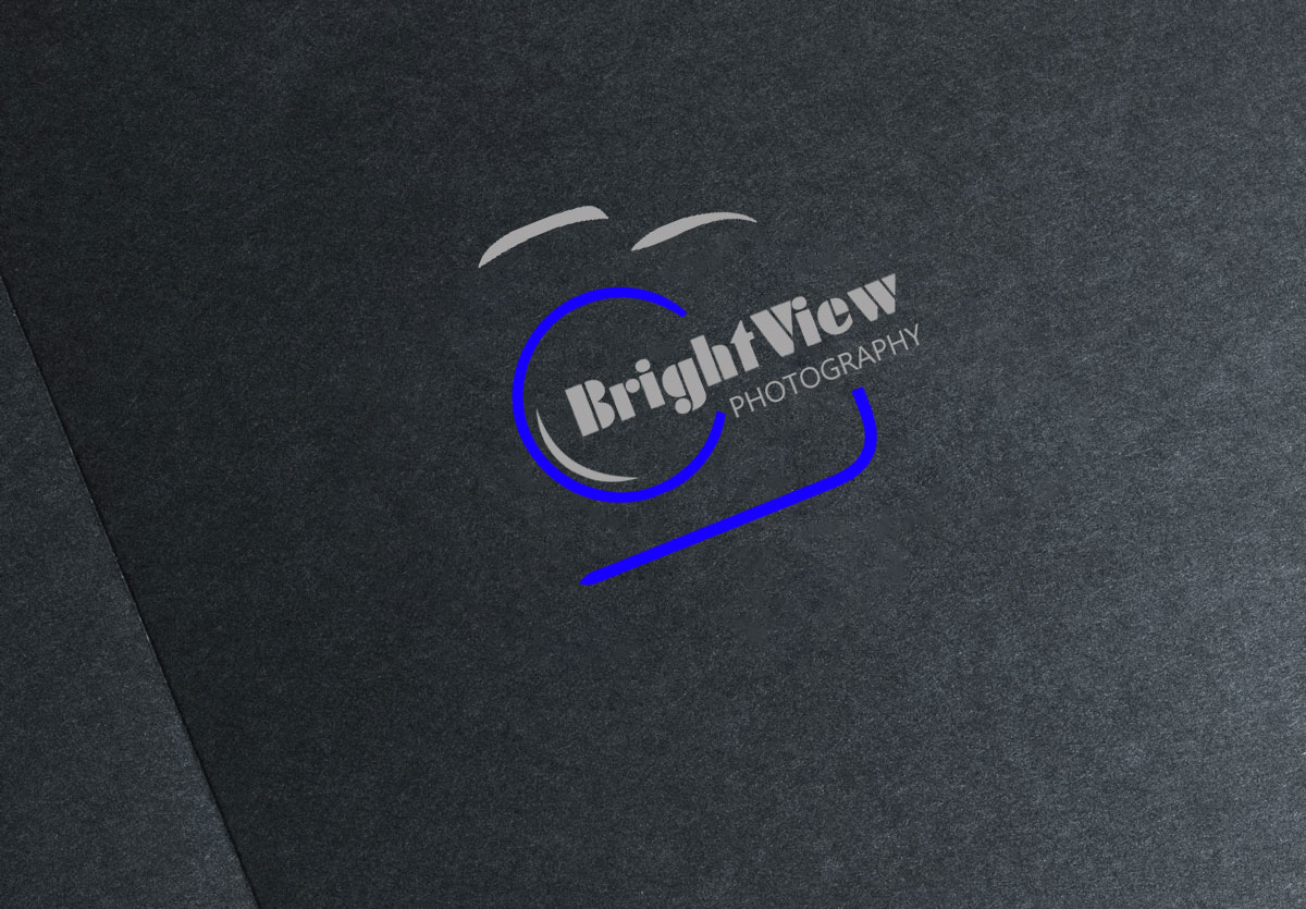 Logo-Design von Flavia für dieses Projekt | Design #5816059