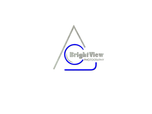 Logo-Design von Flavia für dieses Projekt | Design: #5822619