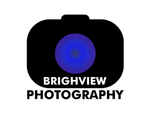 Logo Design by texnu