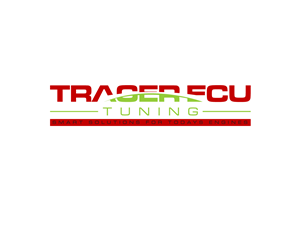 Logo Design by NDRO for Australian Performance Tuning Pty. Ltd. | Design: #5796705