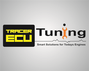 Diseño de Logo por Imoo para Australian Performance Tuning Pty. Ltd. | Diseño: #5795718
