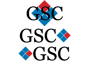 Logo Design by DoubleConvex Design