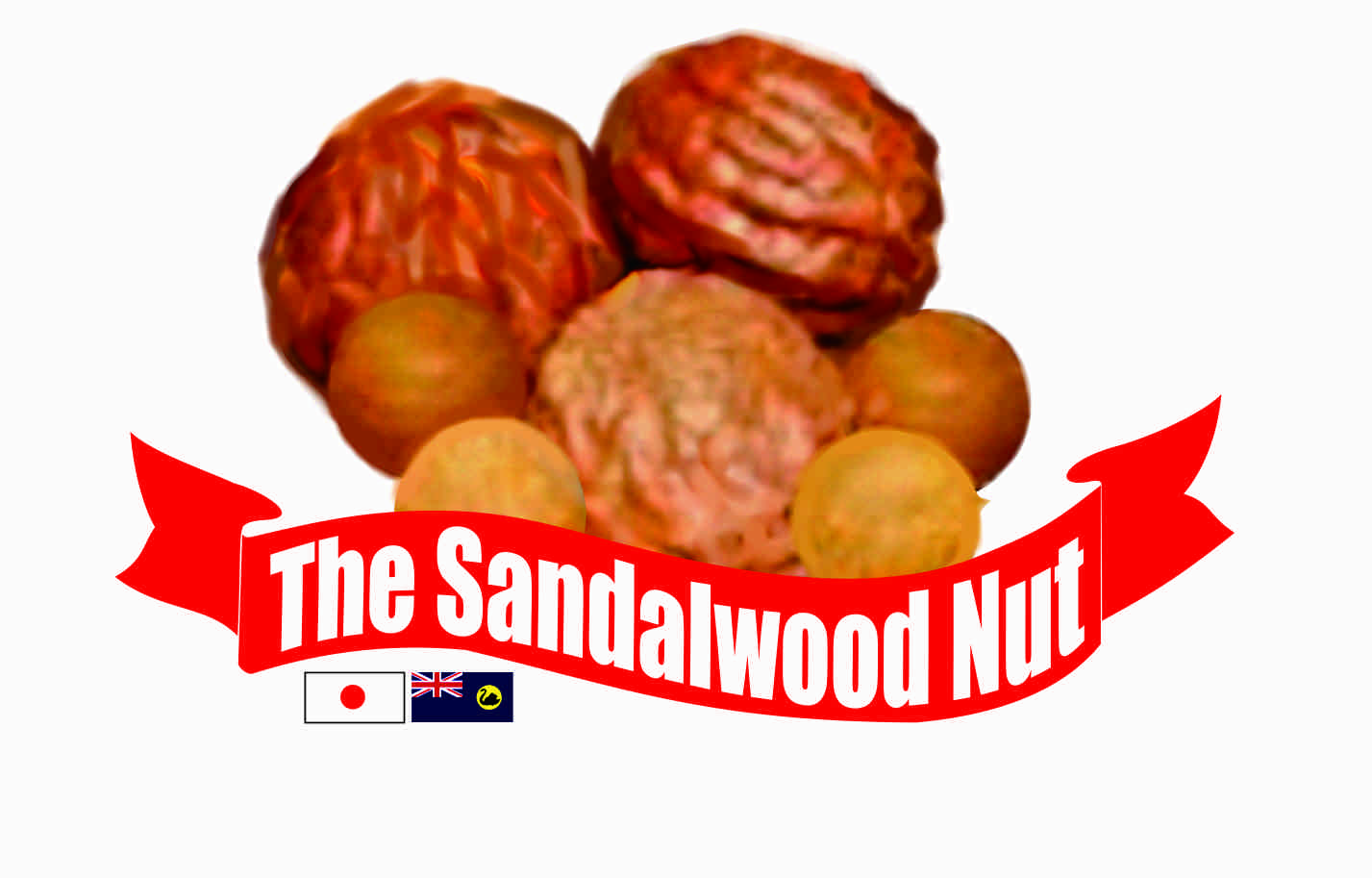 Graphic Design by wchristia for The Sandalwood Nut Company | Design #5810367
