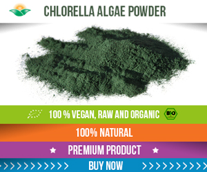 Banner Ad Design by Karolin for Haldon Clark Limited | Design: #5819606