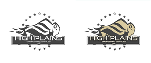 Logo Design by Ionut Nechifor