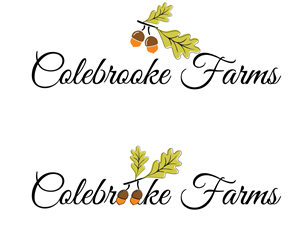 Logo Design by eayeri for this project | Design #5934316