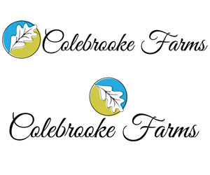 Logo Design by eayeri for this project | Design: #5934702